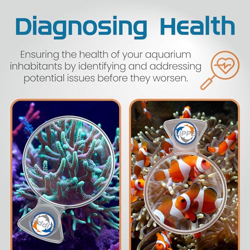 FL!PPER DeepSee Viewer 4" Clear