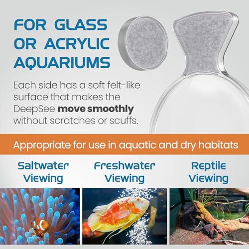 FL!PPER DeepSee Viewer 4" Clear