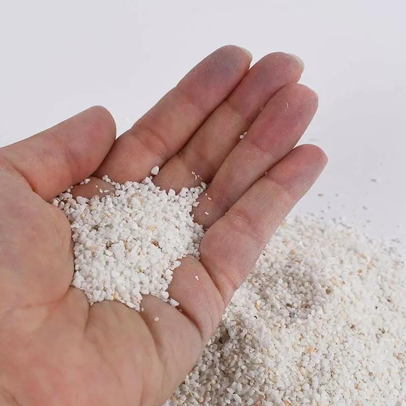 Coral Sand Lose