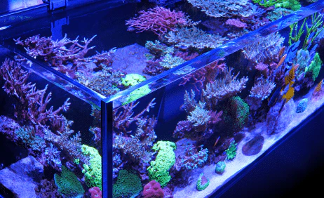 Red Sea - Reefer 350 G2 - 72 gal 