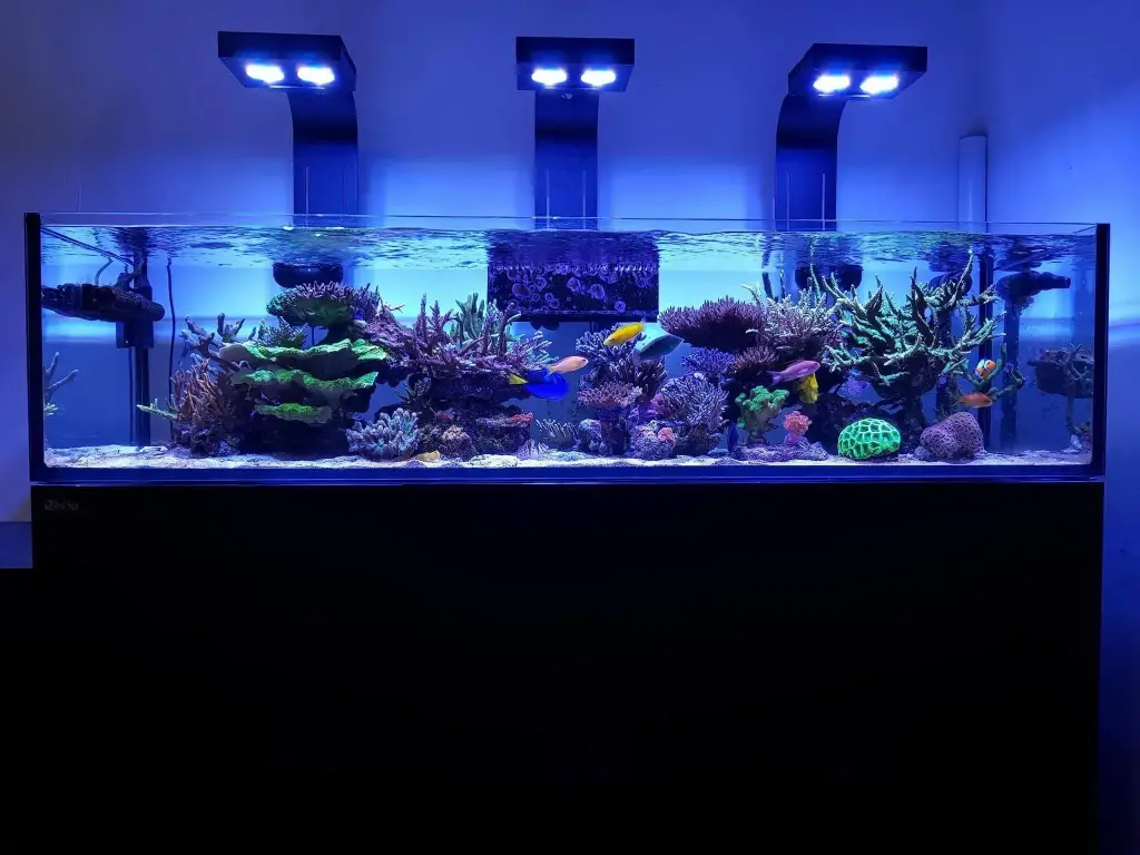 Red Sea - Reefer 425 G2 - 91 gal 