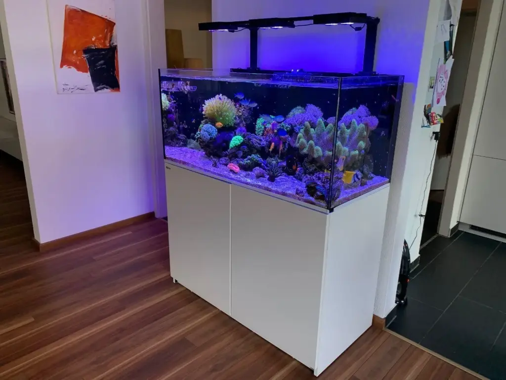 Red Sea - Reefer 425 G2 - 91 gal Cabinet Door Side White