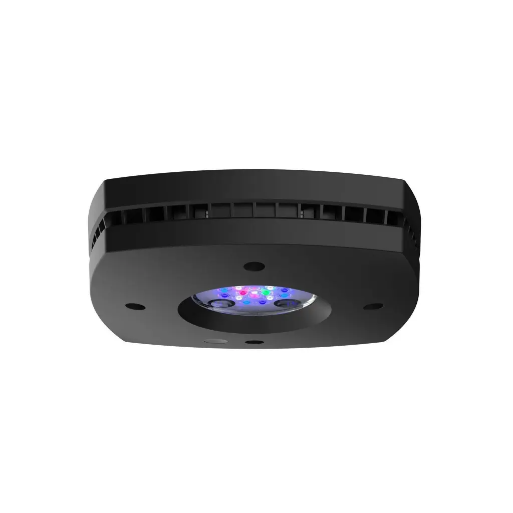AI - 16 LED Lights 
