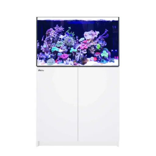 Red Sea - Reefer 300 G2 - 65 gal