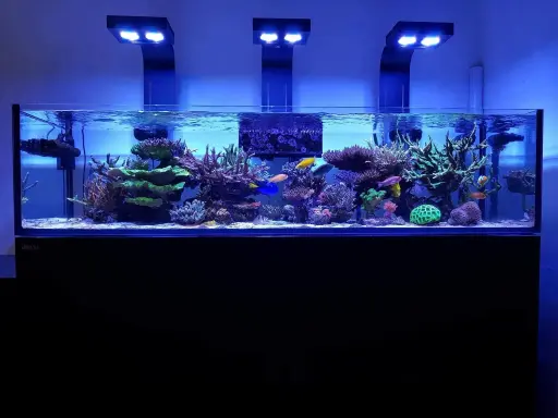 Red Sea - Reefer 425 G2 - 91 gal 