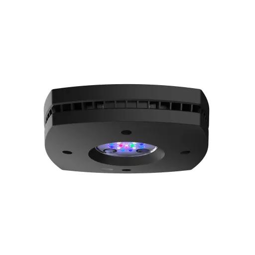 AI - 16 LED Lights 